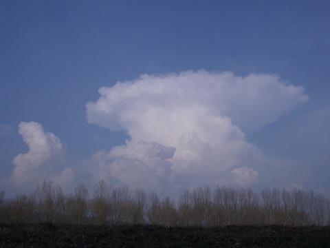 Ein schn entwickelter Cumulonimbus (CB) ber dem vorderen Bayersichen Wald, bereits am 27.03.2005 aufgenommen. Durch damals recht geringe Hhenwinde konnte sich der CB an der Tropopause gleichmssig nach allen Seiten schirmfrmig ausbreiten, was eher selten der Fall ist.  Solch eine Gewitterwolke reicht hierzulande bis max. 12km Hhe, und besteht aus Eiskristallen unterschiedlicher Gre.  Vor dem CB und links sind bereits aufstrebende TCU's zu sehen, die ggf. ebenfalls zu einem CB werden knnen. 